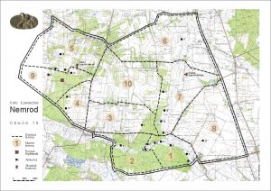 Mapa Prusinowice